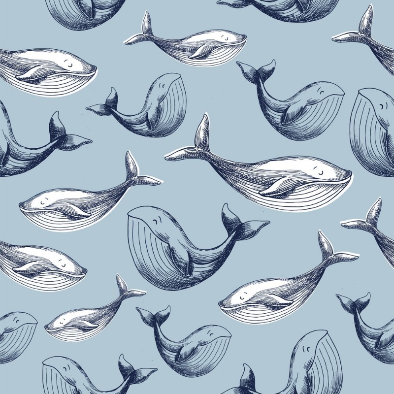 Picture of Pekka Blue - 1100401-01